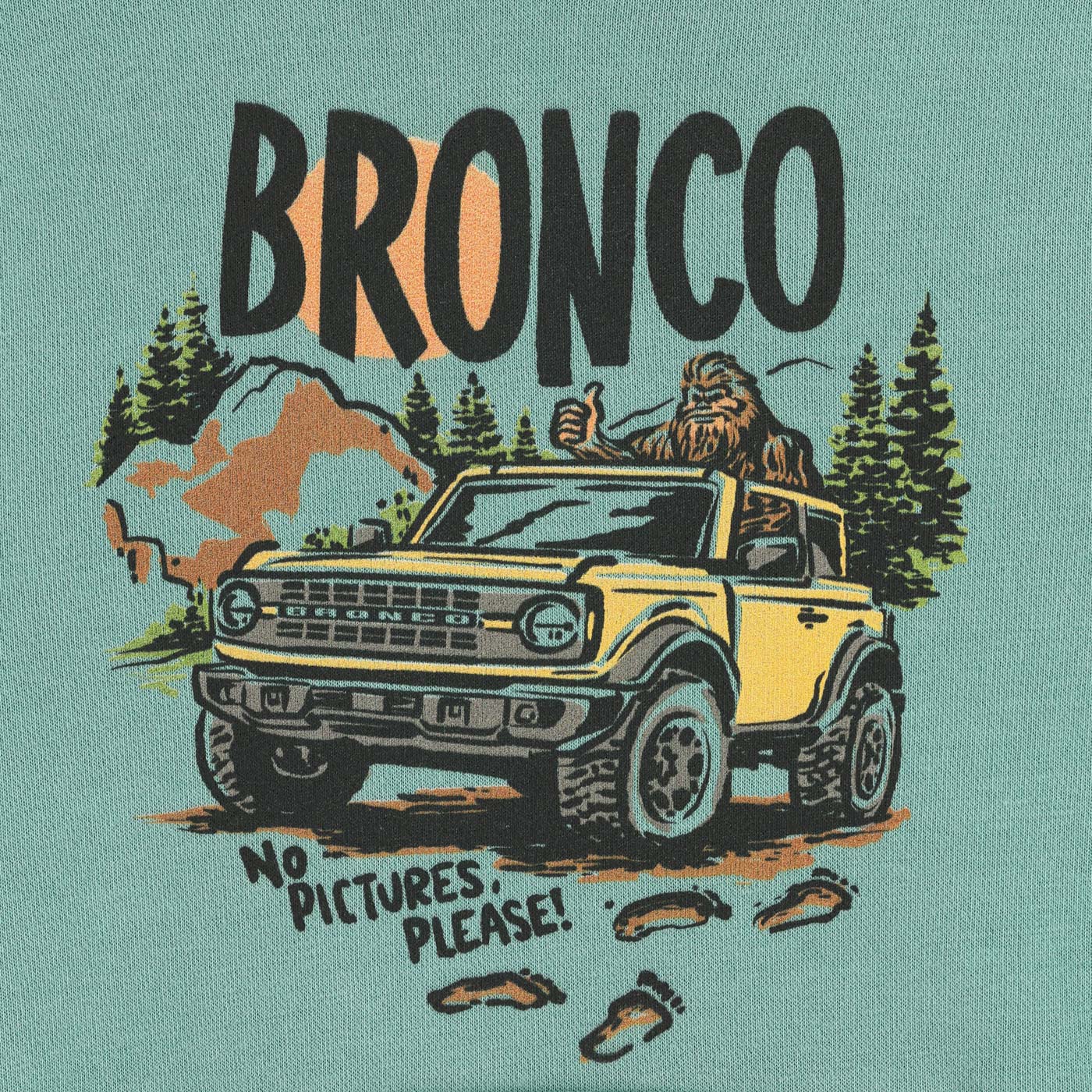 Ford Bronco Sasquatch No Pictures Please Youth Hoodie